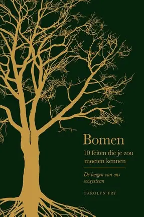 10 feiten die je zou moeten kennen 4 - Bomen Nieuw