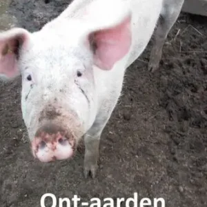 Ont-aarden (e-book) Finale Uitverkoop