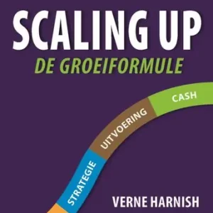 Aanbieding Scaling up (e-book)
