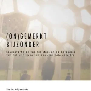 (On)gemerkt bijzonder (e-book) Hete Deal