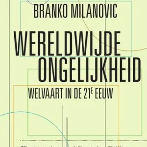 Wereldwijde ongelijkheid (e-book) Koop Online