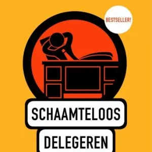 Aanbieding Schaamteloos delegeren (e-book)