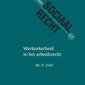 Werkzekerheid in het arbeidsrecht (e-book) Flitsaanbieding