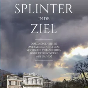 Uitverkoop Een splinter in de ziel