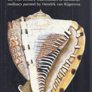 Antillian Seashells  Henry E. Coomans Direct Beschikbaar