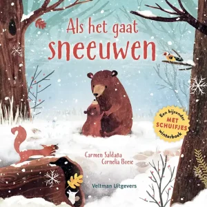 Als het gaat sneeuwen Direct Beschikbaar