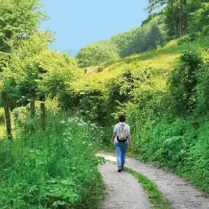 Zuid-Limburg Koop Online