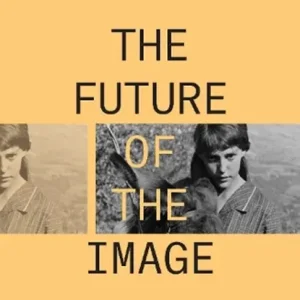 Populair The Future of the Image