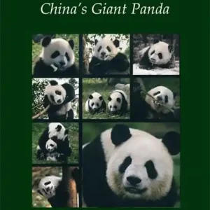 Chinas Großer Panda. China's Giant Panda Goedkoop