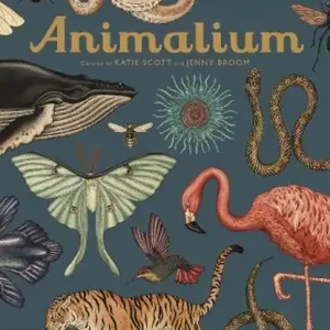 Animalium Must-Have