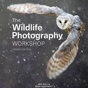 The Wildlife Photography Workshop Rechtstreeks Van De Fabrikant