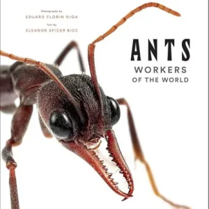 Ants: Workers of the World Korting