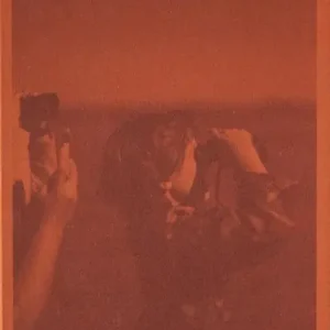 Bestel Nu 75 jaar vrijheid in beeld