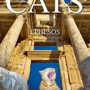 Cats of Ephesos Finale Uitverkoop