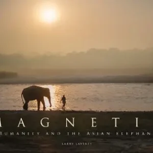 Beperkte Voorraad Magnetic
