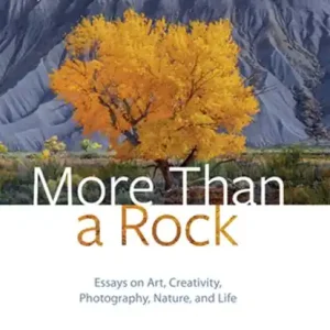 Alleen Vandaag More Than a Rock