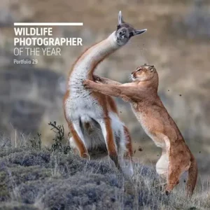 Aanbieding Wildlife Photographer of the Year: Portfolio 29