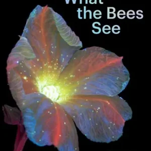 What the Bees See Koopje