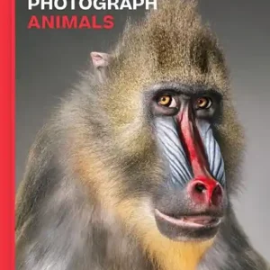 Direct Beschikbaar Why We Photograph Animals