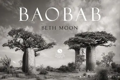 BAOBAB: Meine Reise zu den ältesten Lebewesen und Waldwächtern Snelle Levering