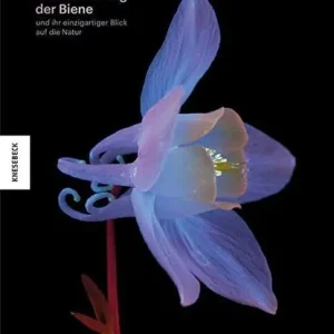 Die Verführung der Biene Direct Verzonden