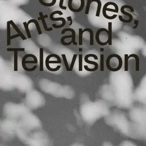 Zygmunt Rytka: Stones, Ants, and Television Uitverkoop