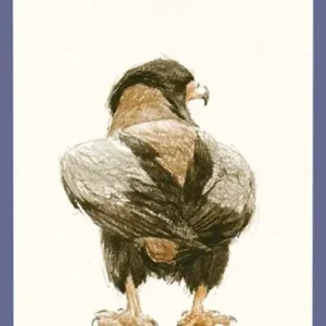 333 Vogels - Peter Vos Flitsaanbieding