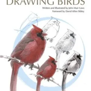 The Laws Guide to Drawing Birds Betaalbaar